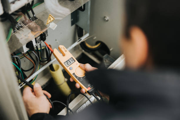 Best Ceiling Fan Installation Electrician  in Point Mackenzie, AK