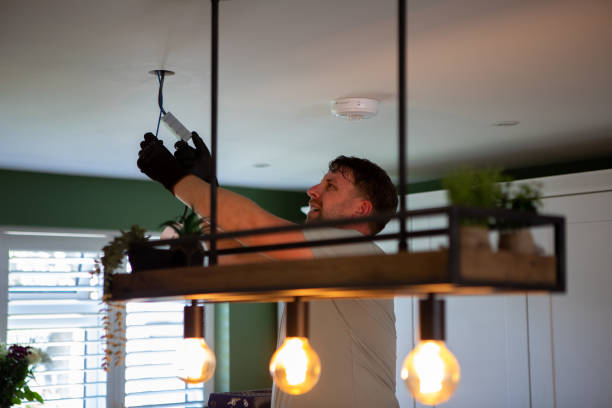 Best Electric Panel Repair  in Point Mackenzie, AK